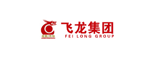 飞龙集团